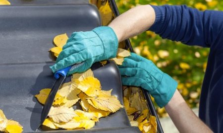 Clean It Up Home & Garden Maintenance Services